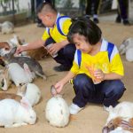 600431782_122198557226562225_9008793596171142859_n