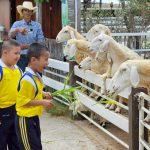 602472484_122198557088562225_8945462943922134933_n